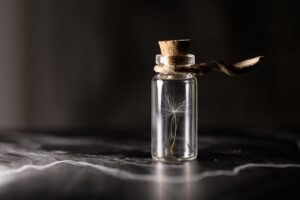 熟年離婚後の再スタートに向けた生活設計のポイントは？