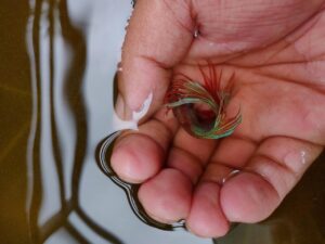 熟年離婚後の貧乏生活の実態とは？