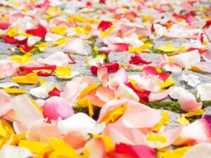 熟年離婚を考えているあなたが離婚に迷っている理由とは？