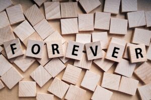 熟年離婚におけるサービスの評判は本当に信頼できるのか？